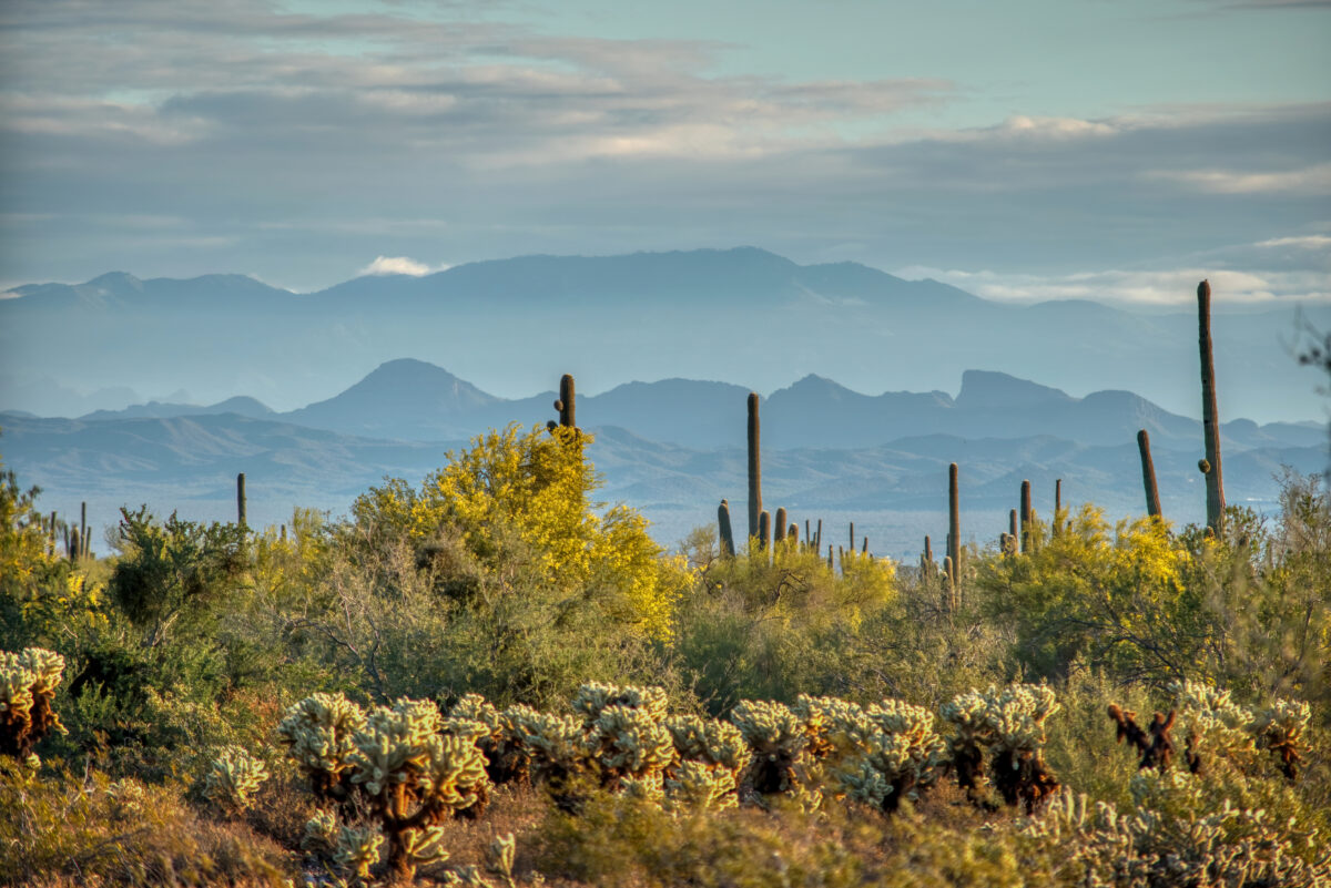 Open spaces provide a wealth of benefits for Arizona’s residents, both its people and local wildlife. Arizona mountain range.
