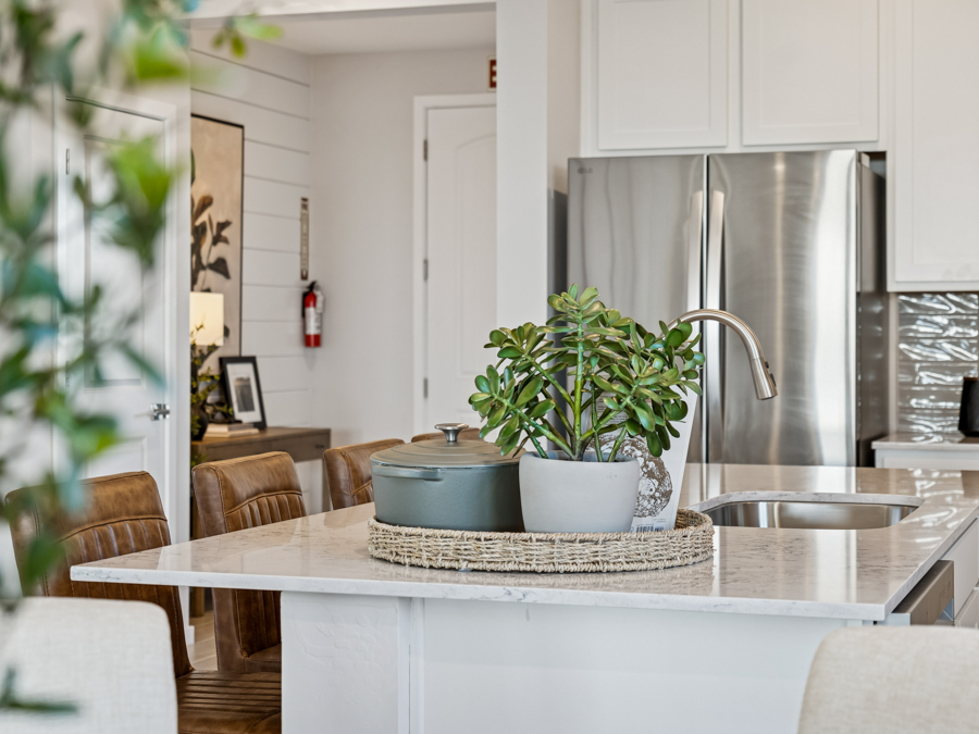Modern kitchen with a marble island, brown chairs, potted succulent plants, and stainless steel appliances in the background.