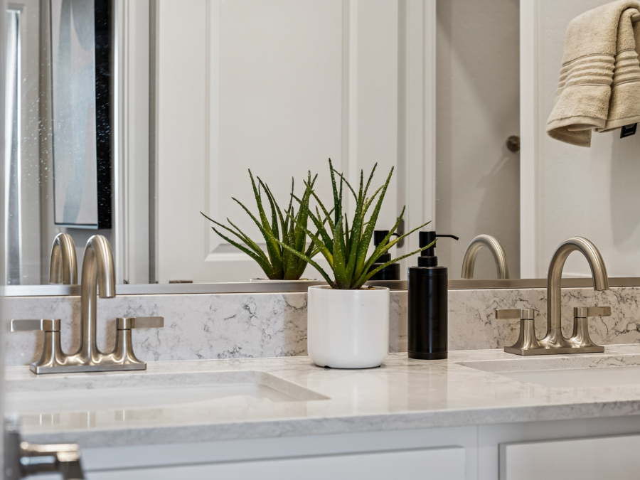 Bathroom countertop with double sinks, chrome faucets, a potted green plant, black soap dispenser, and beige towels reflected in the mirror.