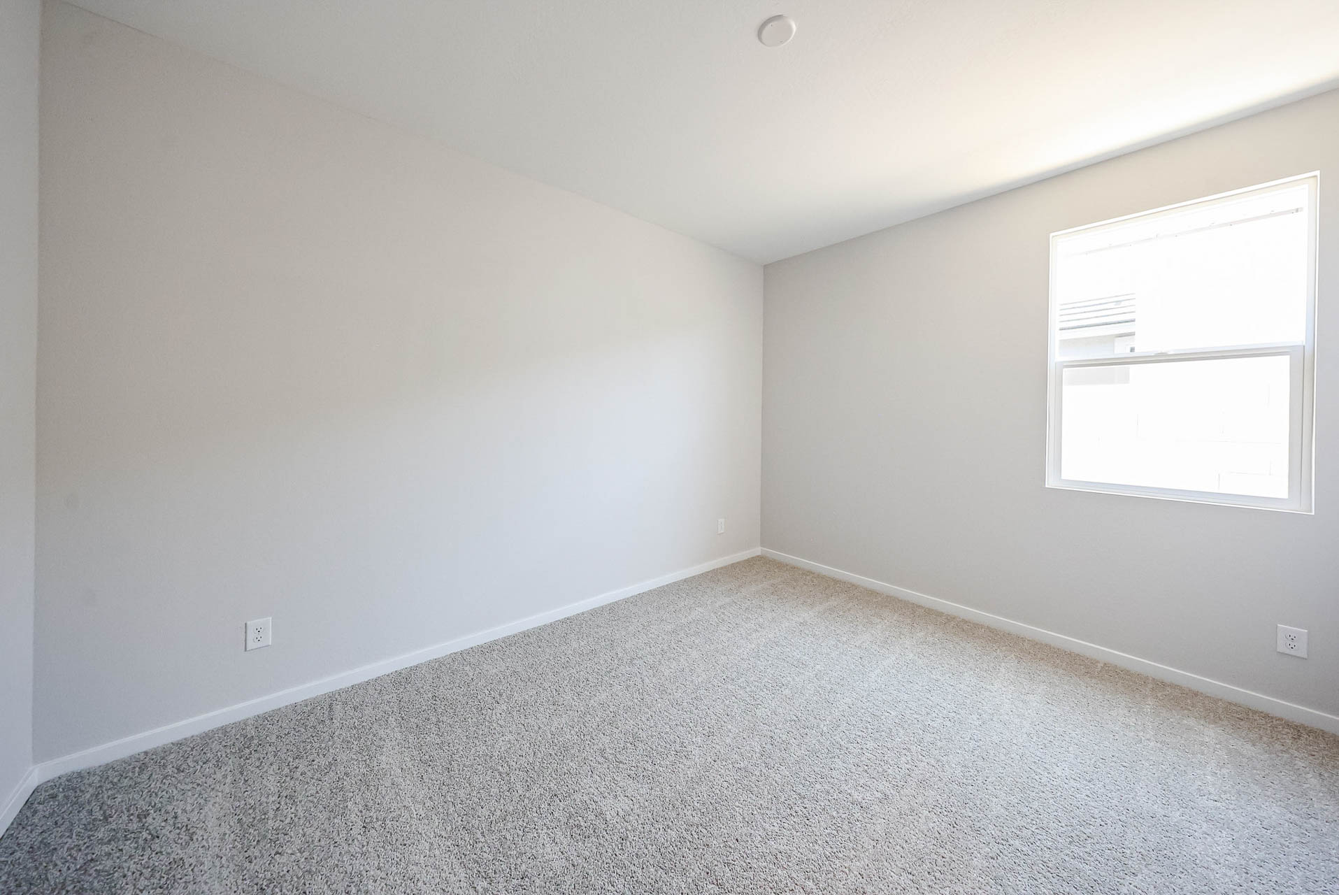 Empty room with light gray carpet, white walls, and a single window letting in natural light; no furniture or decorations are present.