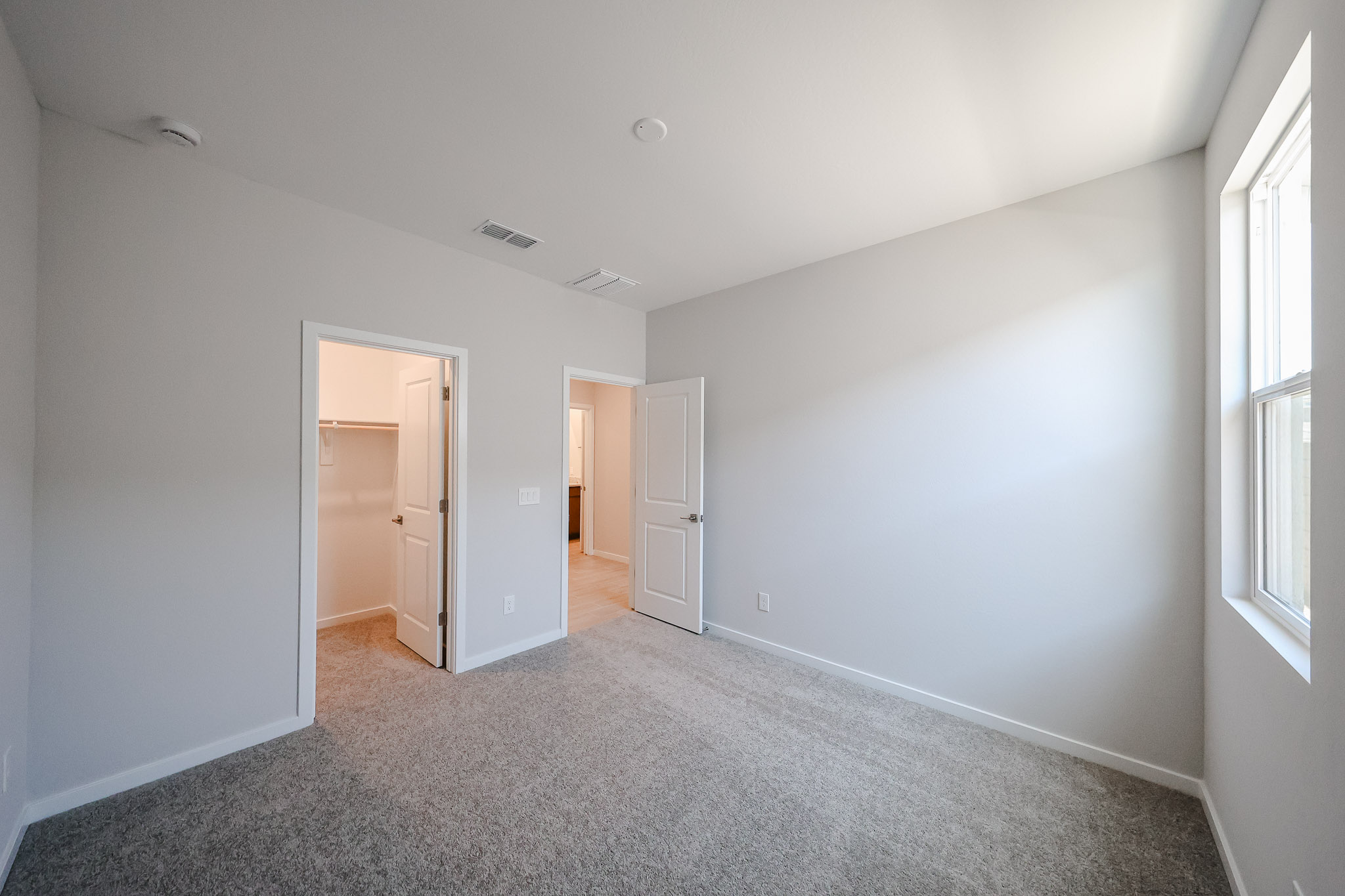Empty bedroom with light gray walls, carpeted floor, a window, a walk-in closet to the left, and an open door leading to a hallway.