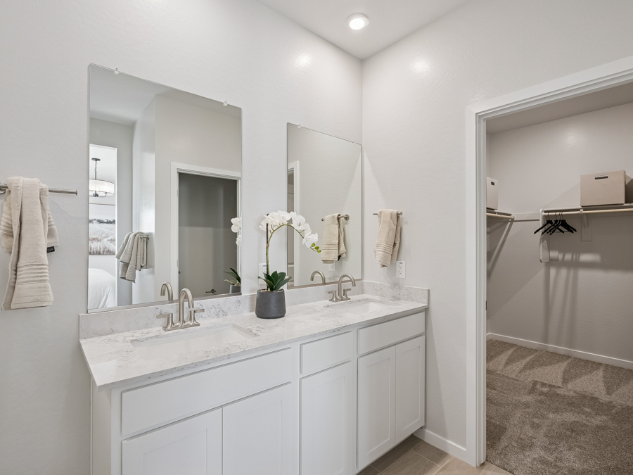 Modern bathroom with double sinks, white cabinets, two mirrors, towels, and a potted orchid; open door leads to a walk-in closet with shelving and carpeted floor.