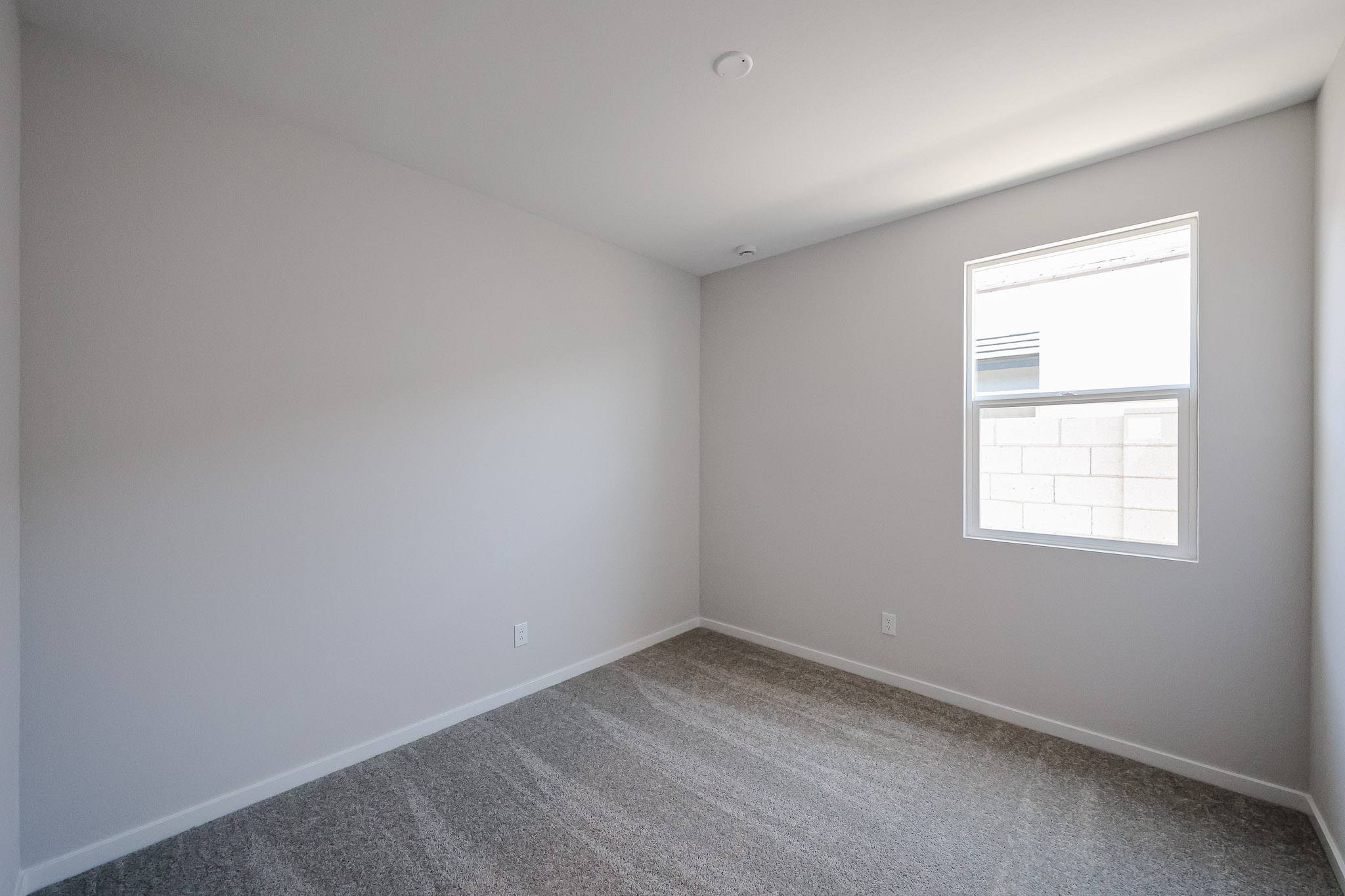 Empty room with light gray carpet, white walls, and a single window letting in daylight. The window shows a view of a brick wall outside.