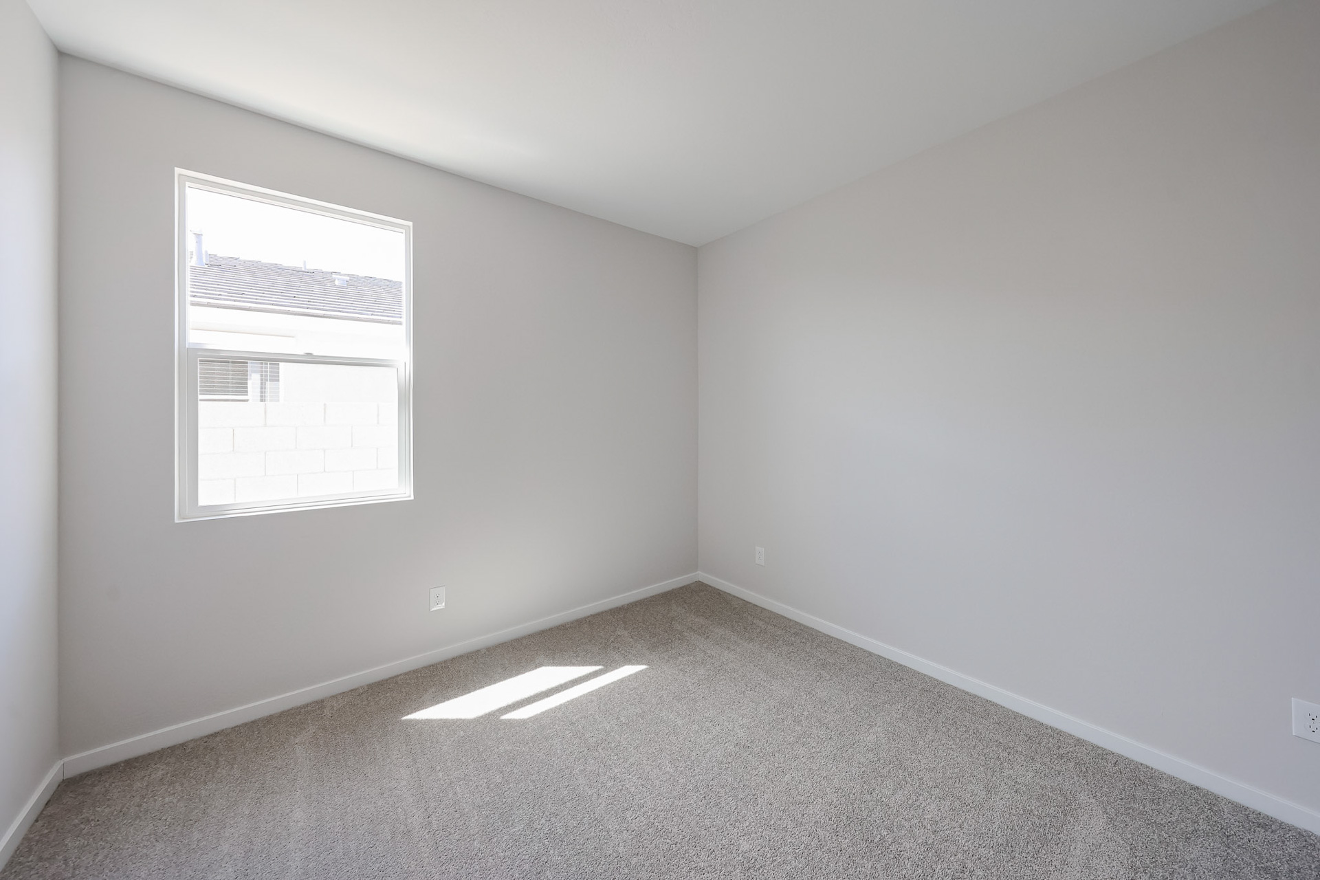 Empty room with beige carpet, light gray walls, a single window letting in daylight, and baseboard trim throughout.