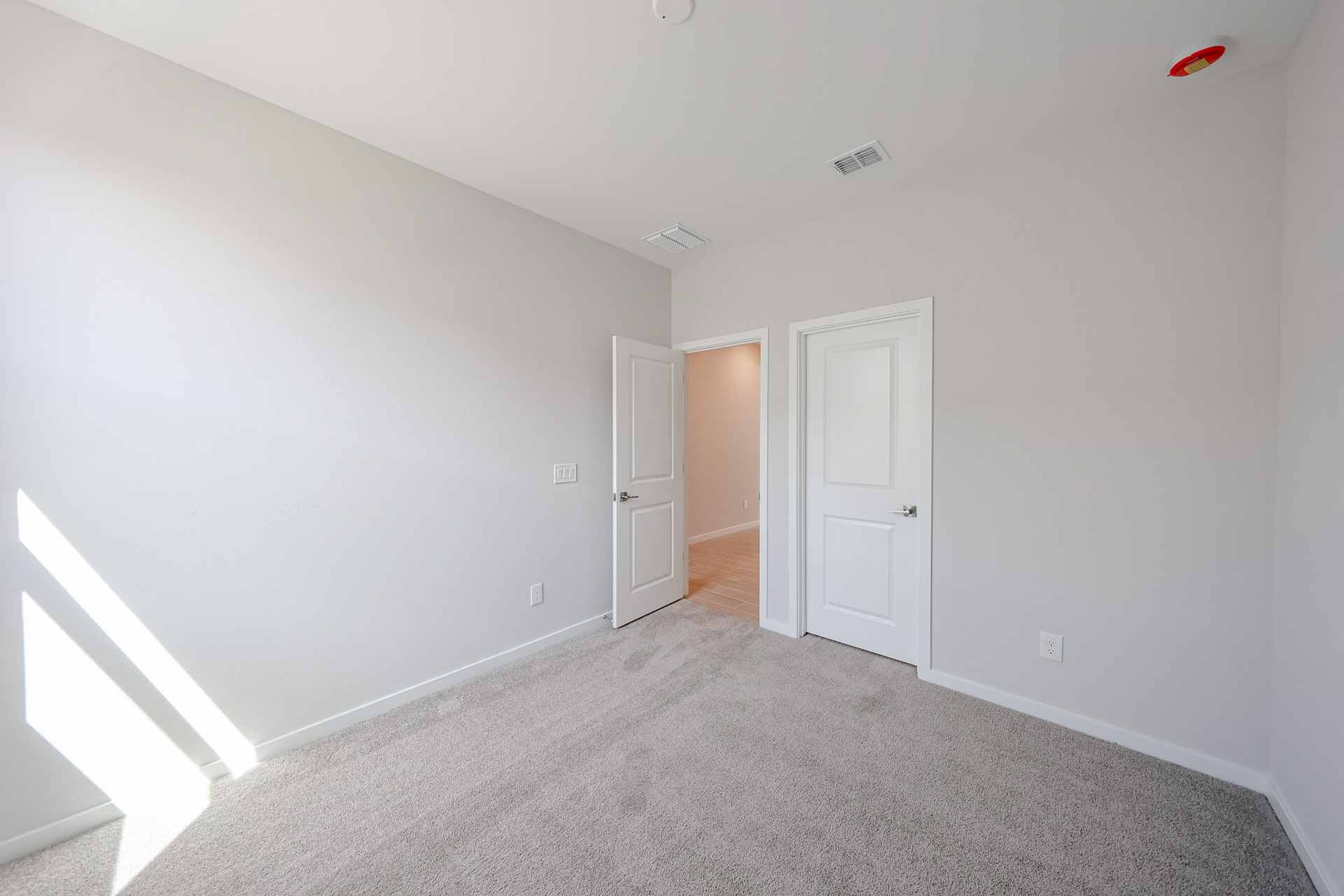 Empty room with light gray carpet, white walls, two white doors, and sunlight streaming in from a window on the left.
