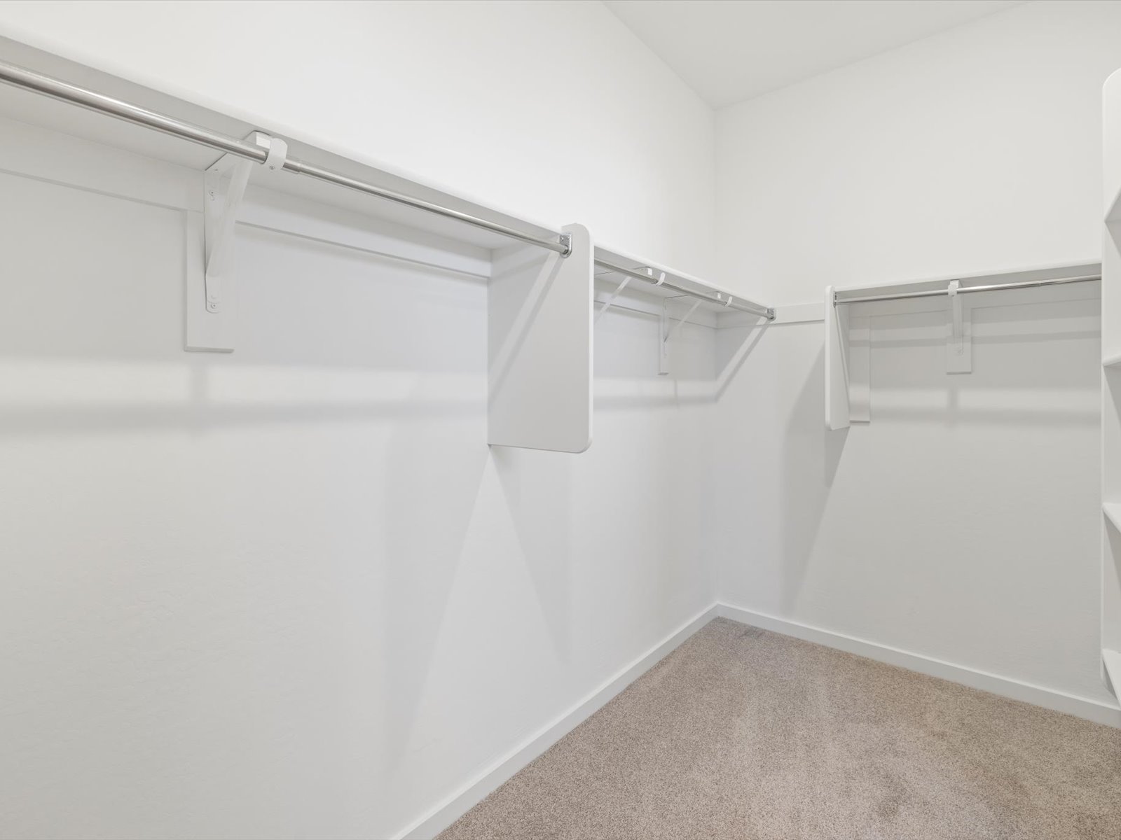 Empty walk-in closet with beige carpet, white walls, and multiple white shelves and hanging rods.