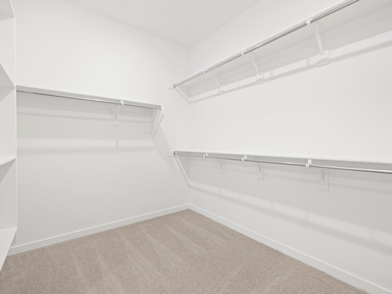Empty walk-in closet with white shelves and clothing rods on three walls, beige carpeted floor, and white walls.