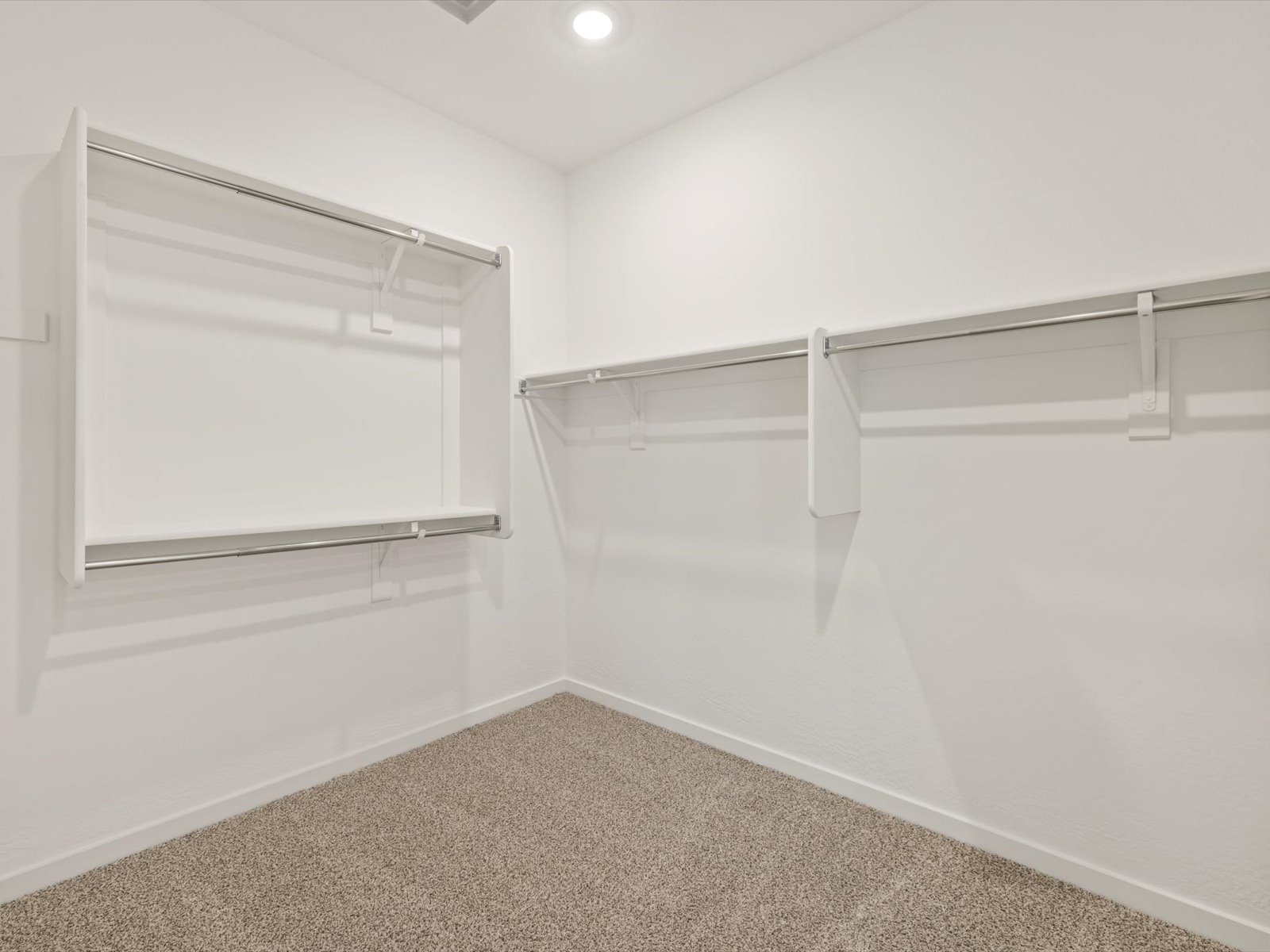 Empty walk-in closet with white walls, built-in shelves, clothing rods, and beige carpet flooring, lit by a ceiling light.