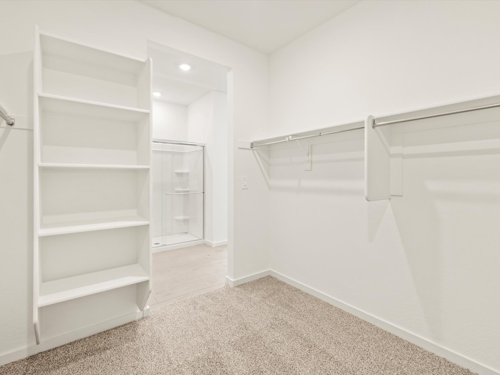 Empty walk-in closet with beige carpet, white walls, built-in shelves, and hanging rods. An open doorway leads to an adjoining space with wood flooring and additional shelving.