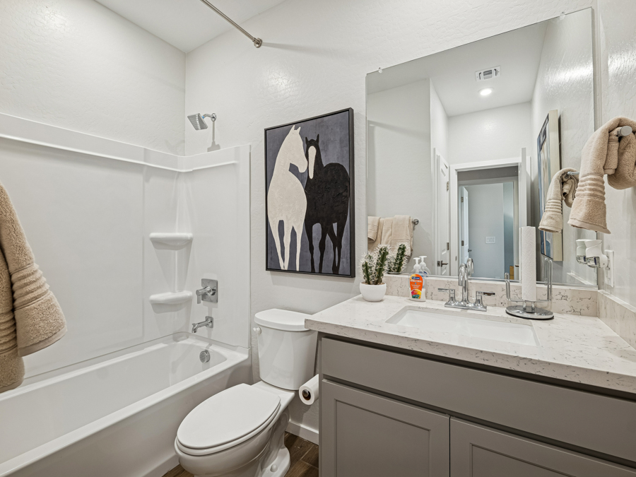 Bathroom with a bathtub and shower, toilet, vanity with sink, mirror, towel racks, soap dispenser, small plants, and a horse-themed wall art.