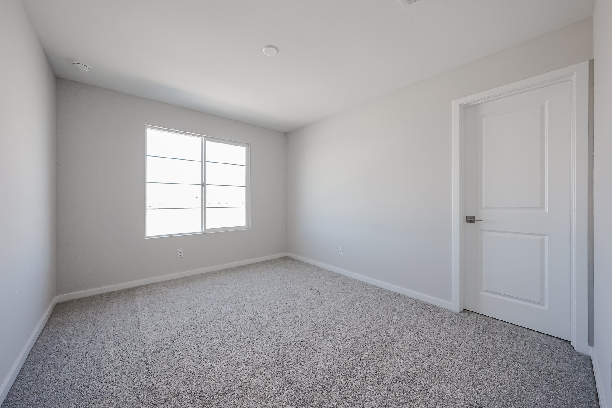 Empty room with light gray carpet, white walls, a closed white door, and a window letting in natural light.